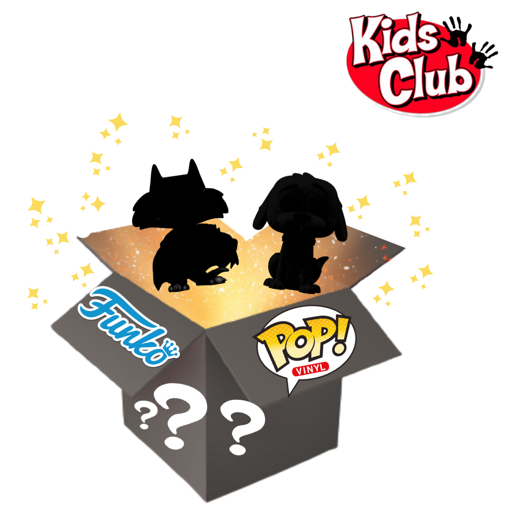 Kids Funko Pop! Vinyl Figures Mystery Surprise Gift Box 2 Pack