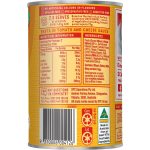 SPC Spag-a-saurus Spaghetti Tomato and Cheese Sauce Can 420g