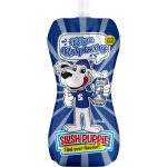 Slush Puppie Puppy Blue Raspberry Flavoured Slushy Pouch 250ml