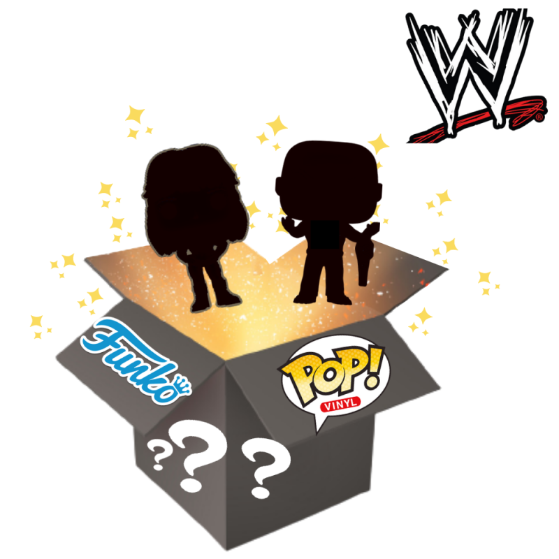 WWE Funko Pop! Vinyl Figures Mystery Surprise Gift Box 2 Pack