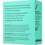 Anihana Shower Steamer Mint Refresher With Peppermint and Eucalyptus Essential Oil 50g