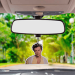 Harry Styles Watermelon Car Air Freshener
