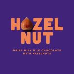 Cadbury Dairy Milk Hazelnut Large Chocolate Block 340g