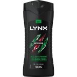 Lynx 3 In 1 Body Face Hair Wash Africa 400ml