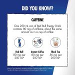 Red Bull Energy Drink Bottle 330ml X 2 Bottles