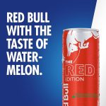 Red Bull Red Edition Blueberry Energy Drink 250ml X 4 Pack