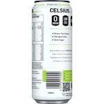 Celsius Kiwi Strawberry Energy Drink Can 330ml