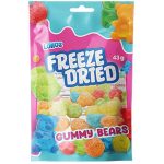 Freeze Dried Gummy Bears Snack 43g