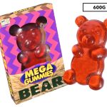 AIT Mega Large XXL Gummy Bear Lolly Candy 600g