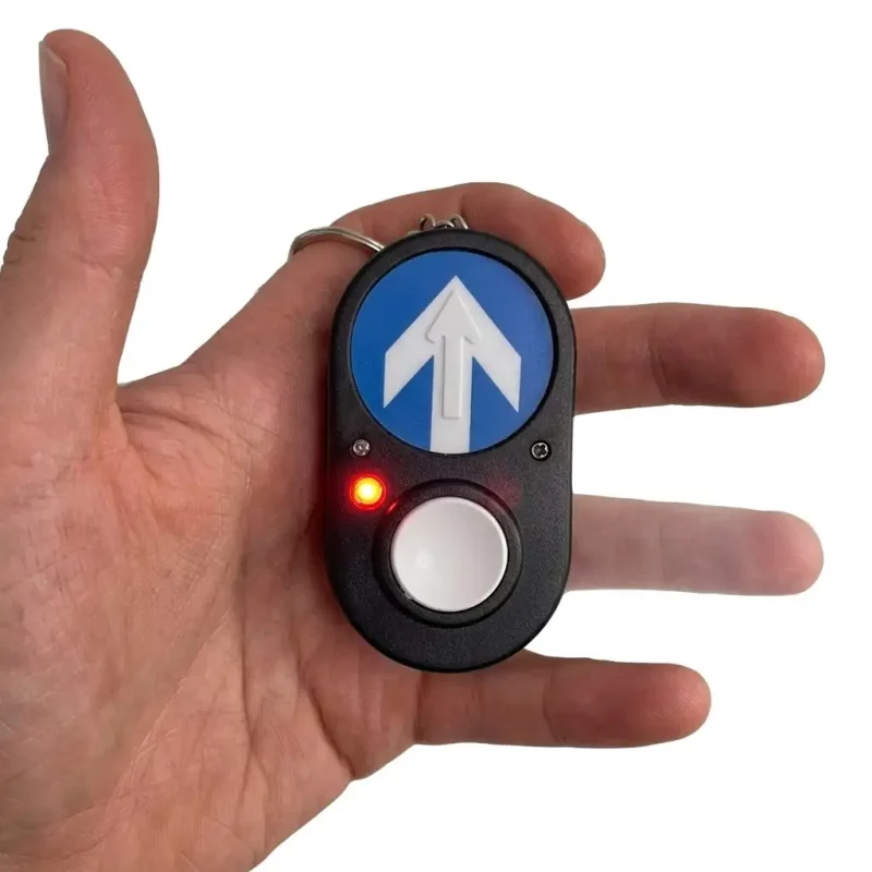 Traffic Light Pedestrian Crossing Light Sound Keyring