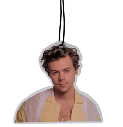 Harry Styles Watermelon Car Air Freshener